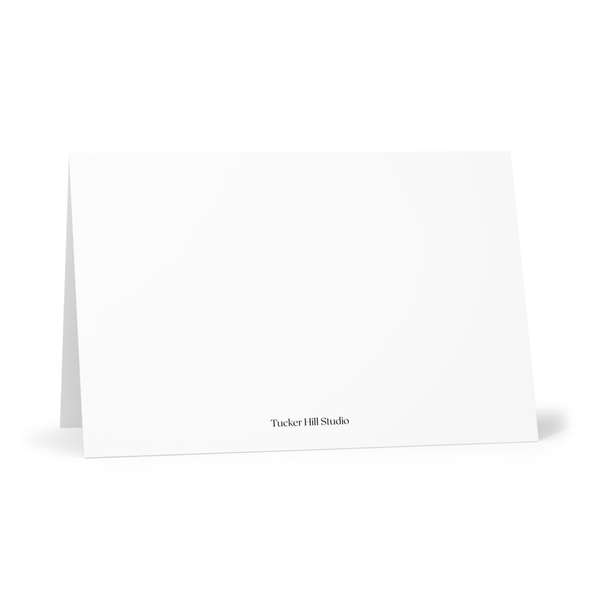 WTF Greeting Cards for those WTF moments! (7 pcs)